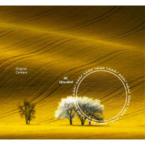 LG UHD 4K TV 75 Inch UQ8000 Series, Cinema Screen Design 4K Active HDR WebOS Smart AI ThinQ, 75UQ80006LD