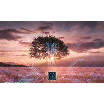 LG UHD 4K TV 75 Inch UQ8000 Series, Cinema Screen Design 4K Active HDR WebOS Smart AI ThinQ, 75UQ80006LD