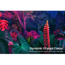 SAMSUNG 65 Inch BU8000 UHD Crystal 4K Smart TV Airslim Design With Alexa and Smart TV Streaming Built In, Object Tracking Sound, Contrast Enhancer, Boundless Screen and Adjustable Stand