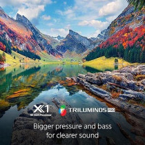 Sony 55 Inch Full Array LED 4K Ultra HD Smart TV, KD55X85L