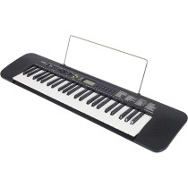 Casio Ctk-240H5 49 Full-Size Keys Keyboard