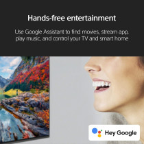 Sony BRAVIA 55 Inch TV XR OLED 4K UHD Smart Google TV, XR-55A80L