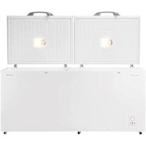 Hisense 650 Liter Chest Freezer Double Door Silver Model FC-65DD4SA