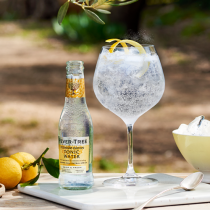 Fever Tree Premium Indian Tonic Water, 200ML x 24