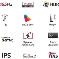 LG 27GR75Q, UltraGear Gaming Monitor (27 Inch) QHD IPS Display(2560 x 1440), 165Hz And 1ms, HDR 10, sRGB 99Percentage( Typ.), G-SYNC, AMD FreeSync Premium, Anti-Glare, Height, Pivot, HDMI, DP Black (27GR75Q-B.ATR)