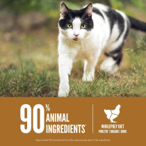 Orijen 340g Original Protein Rich Cat Dry Food