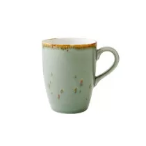 Fortessa USA Tc Erthe...