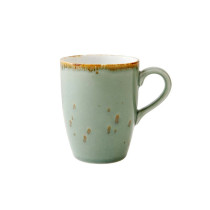 Fortessa USA Tc Erthe Celadon Tapered Mug, 400 Ml