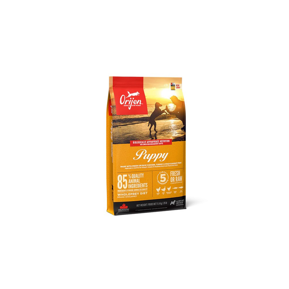 Orijen 6KG Puppy All Breed Protein-Rich Dry Dog Food