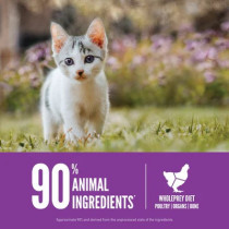 Orijen 1.8KG Kitten Formula - Brain & Muscle Development Cat Dry Food
