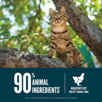 Orijen 1.8KG Guardian 8 - Nutrient-Rich Cat Dry Food