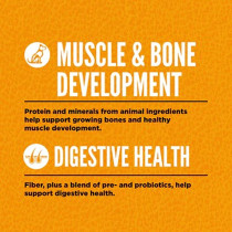 Orijen 2KG Puppy All Breed Protein-Rich Dry Dog Food