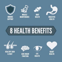 Orijen 1.8KG Guardian 8 - Nutrient-Rich Cat Dry Food