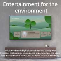 Sony BRAVIA 55 Inch TV XR OLED 4K UHD Smart Google TV, XR-55A80L