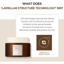 SKIN1004 Madagascar Centella Probio-Cica Enrich Cream 50Ml