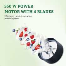 Sonashi Portable Sports Blender/Smoothie Maker 550W, Silver-Black