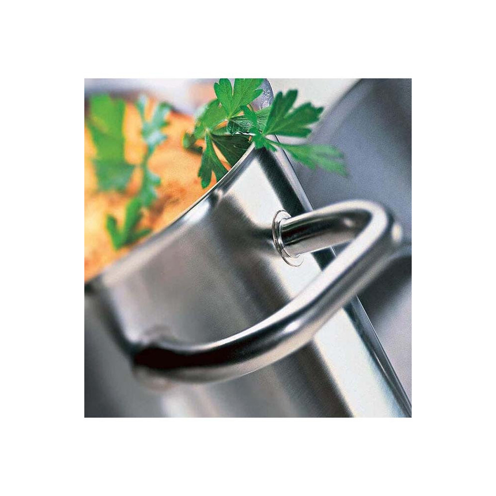 Eurochef Professional Cooking Pot, 28Cm, Suitable For Oven And Induction