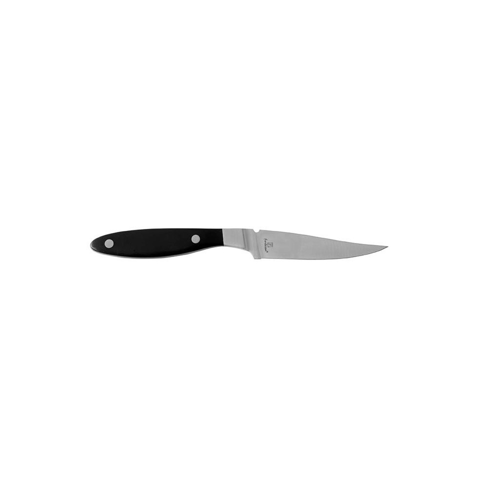 Fortessa Ss Lexington Non Serrated Steak Knife, 9.5