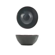 Fortessa Ston Twilight...