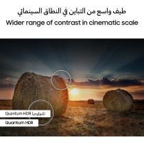 Samsung 55 Inch Qled Tv, Qe1D, 4K, 100% Color Volume With Quantum Dot, 4K Upscaling, Samsung Tv Plus, Quantum Hdr, Tizen Smart Tv, QA55QE1DAUXZN