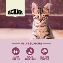 Acana 340G First Feast Chicken With Herring Kitten Dry Food