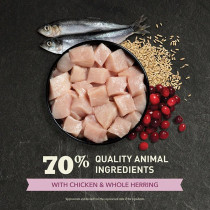 Acana 340G First Feast Chicken With Herring Kitten Dry Food