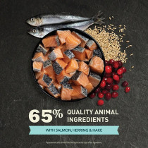 Acana 1.8Kg Bountiful Catch Salmon With Whole Herring Adult Dry Cat Food