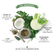 Lily'S Kitchen Small Size Woofbrush Dental Dog Chews Bulk Pack