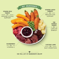 Lily'S Kitchen 400G Lamb Hotpot Wet Dog Food