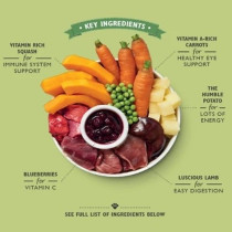 Lily'S Kitchen 10 X 150G Lamb Hotpot Wet Dog Food