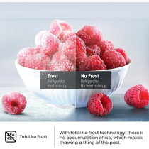 Hisense 264 Litres Gross, Top Mount Refrigerator, No Frost Technology, Big Door Balcony, LED Interior Light, Multi Air Flow, 90 Degree Door Design, Silver, HTM55203D2