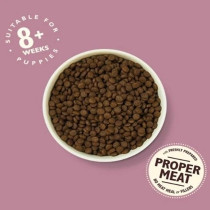 Lily'S Kitchen 2.5Kg Puppy Recipe With Chicken, Salmon And Peas Dry Food