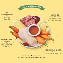 Lily'S Kitchen 150G Chicken Recipe Puppy Food