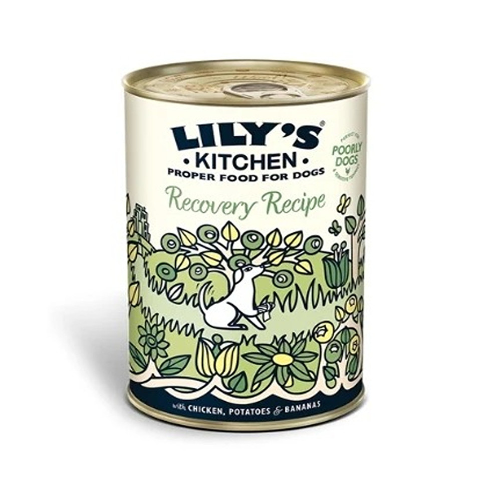 Lily'S Kitchen 6 X 400G Recovery Recipe Wet Dog Food