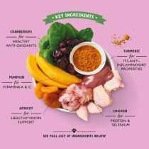 Lily'S Kitchen 10 X 150G Coronation Chicken Wet Dog Food