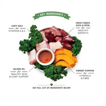 Lily'S Kitchen 12 X 150G Turkey And Duck Recipe Puppy Wet Food