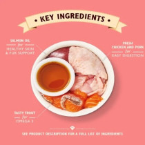 Lily'S Kitchen 19 X 85G Chicken Pate Kitten Wet Food