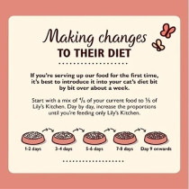 Lily'S Kitchen 85G Organic Chicken Pate Wet Cat Food