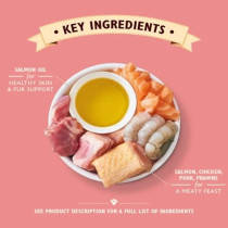 Lily'S Kitchen 19 X 85G Salmon And Chicken Pate Wet Cat Food