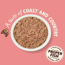 Lily'S Kitchen 19 X 85G Salmon And Chicken Pate Wet Cat Food