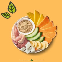 Lily'S Kitchen 400G Dog Carnival Chicken Wet Food