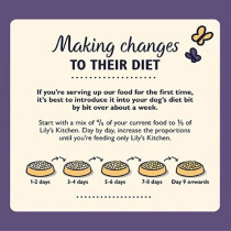 Lily'S Kitchen 1Kg Adult 8+ Senior Recipe Turkey, Trout And Seasonal White Fish Dry Dog Food