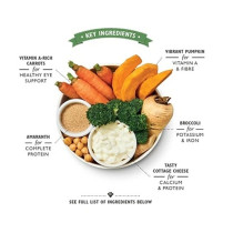 Lily'S Kitchen 375G Wholesome Veggie Feast Wet Dog Food