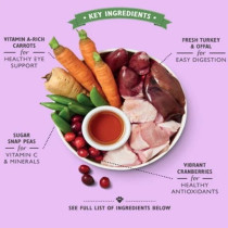 Lily'S Kitchen 150G Senior Recipe Dog Wet Food