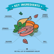 Lily'S Kitchen 120G Dog Chew Sticks With Salmon Dog Treats