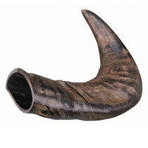 Trixie Medium Natural Buffalo Chewing Horn Dental Dog Treats