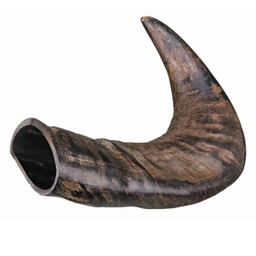 Trixie Medium Natural Buffalo Chewing Horn Dental Dog Treats
