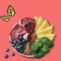 Lily'S Kitchen 40G Beef On The Go Bars For Dogs