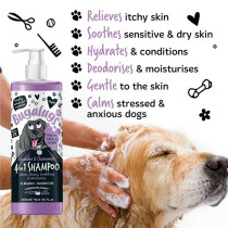 Bugalugs 500Ml 4In1 Lavender And Chamomile Dog Shampoo