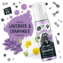 Bugalugs 200Ml Lavender And Chamomile No Rinse Dog Shampoo